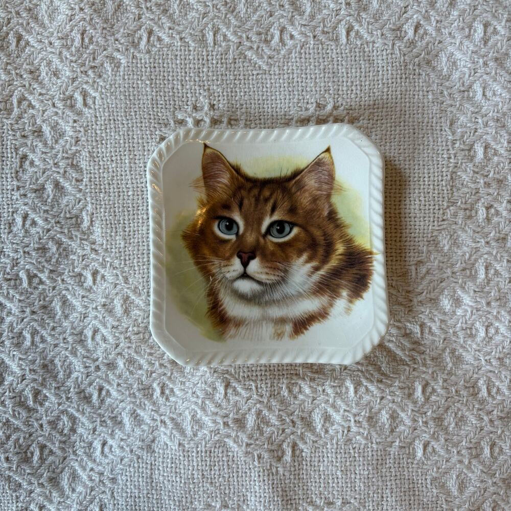 Royal Adderly Bone China Made in England Trinket Collectible Cat plate small